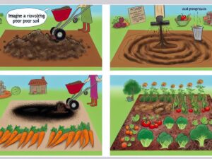 “How to Revitalize Poor Soil for a Thriving Vegetable Garden”